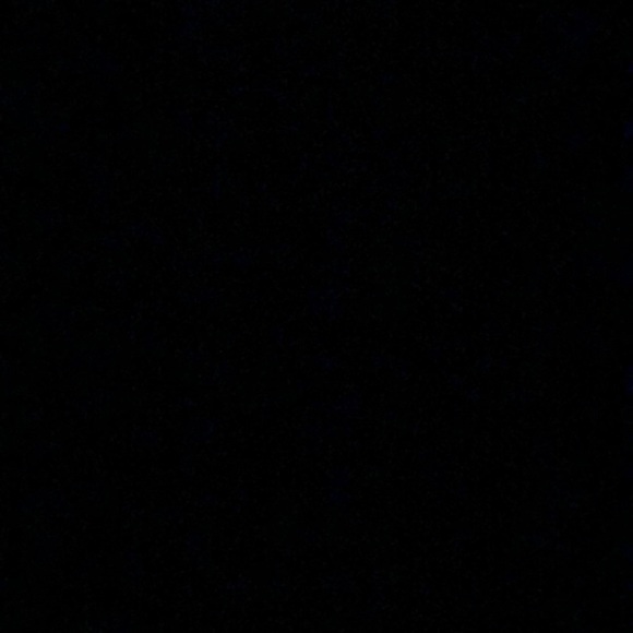 Meet your Posher, Lani - Picture 1 of 1